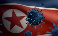 Watch: N. Korea turns down vaccine offers despite COVID outbreak