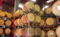 קנדה: סימון יינות פסגות ושילה כ"תוצרת ישראל" מנוגד לחוק