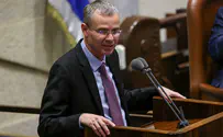 MK Levin proposes new elections within a year