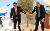Arizona Gov. plants tree at Israel's 9/11 Living Memorial