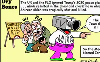 UN and PLO are the cause of journalist Akleh's death