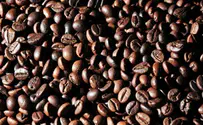 חיסכון קובני: אפונים יעורבבו בקפה