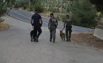 מאות שוטרים מחפשים את מוישי בהר מירון