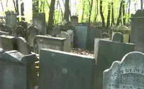נחשף קבר אחים של 8,000 קורבנות הנאצים