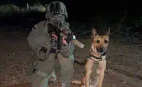 Yamam dog killed in Shechem trapped terror victim's murderer