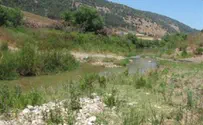 Cleaning the Kishon River and Looking for Diamonds