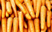 Russia Munches on Israel’s Carrots