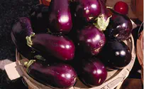 Eggplant Vegetable Liver Dip