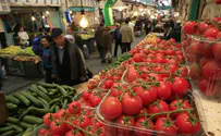 Gaza Begins Exporting Tomatoes to Saudi Arabia