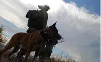 IDF Soldiers Use Dog on Arab Demonstrator