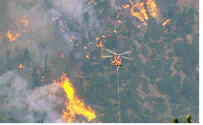 Wildfires Blaze in Colorado, Threaten US Air Force Academy 
