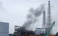 Japanese Culture Caused Fukushima Disaster