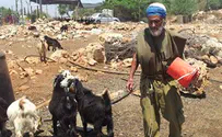 מועמדי הבית היהודי למען רועה הצאן בשומרון