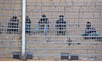 Eritreans Hope Court Forces Israel to Accept Illegal Entry