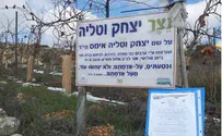 Gov’t Orders ‘Expulsion’ of Hundreds of Gush Etzion Trees    