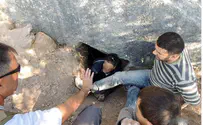 Arabs Caught Red Handed Robbing Ancient Grave