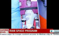 Iran's 'Space Monkey' May Have Been a Fake
