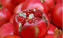 US-Israel Recipes: Kinoa-Pomegranate Salad
