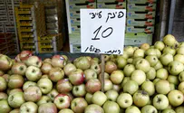 לאן ישווקו תפוחי צפון רמת הגולן?