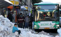 Buses to Capital and Inside It – to Halt Again