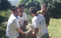 MK Lipman Helps Volunteers Protecting Farmers From Arab Gangs