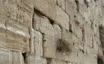 הרצח שמוטט את הישוב היהודי בארץ ישראל