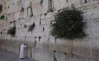 Pope Toured Temple Mount, Prayed at Western Wall