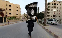US Airstrikes Hit 'Islamic State' Terrorists in Iraq
