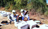 הנזק לדבוראים בעוטף עזה נאמד במיליונים