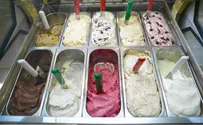 Food Giant Osem to Build Large Ice Cream Factory in Arad