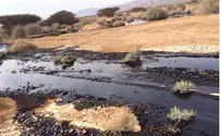 Govt. Allocates NIS 17 Million for Arava Oil Cleanup