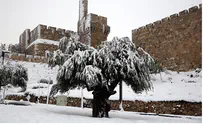How Do You Brace for a Snowstorm in Jerusalem?