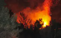 Three Days of Arab Arson 'Terror' in Judea Forest