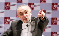 Iran Nuclear Chief in China to Revamp Arak Reactor