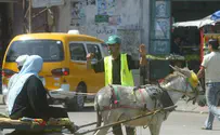 Former NYT Editor Caught in 'Palestinian Donkey Cart' Lie