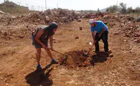 Watch: Planting Trees Post-Shmita in the Shomron