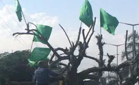 Naftali Bennett Personally Removes Terror Flags from Roadside