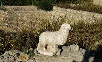 Beautiful ancient ram statue unearthed near Byzantine church