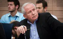 Ex-Shin Bet head calls to investigate radical leftist