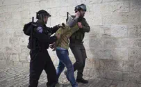 Arab B'Tselem volunteer arrested