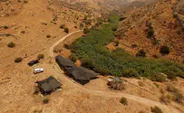 12,000-year-old Israeli village shows start of farming