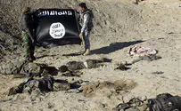 Report: 1/3 of Iraqis believe US supports ISIS
