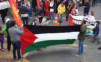 'Progressive' Harvard Jews back anti-Israel protester