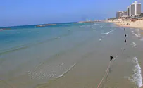 חוף הים הנקי בישראל הוא...