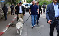 Watch: Netanyahu's dog meets the public