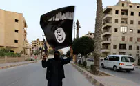 ISIS loses 12 percent of its territory in 6 months