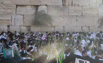 Western Wall plaza flooded by thousands 