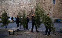 Jerusalem Municipality provides Christmas trees for Christians