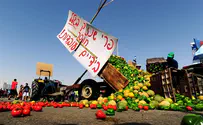 A third of food in Israel is thrown in the garbage