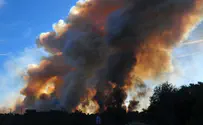 Forest fire kills dozens in central Portugal